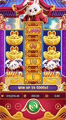 pp123 · Fortune Rabbit